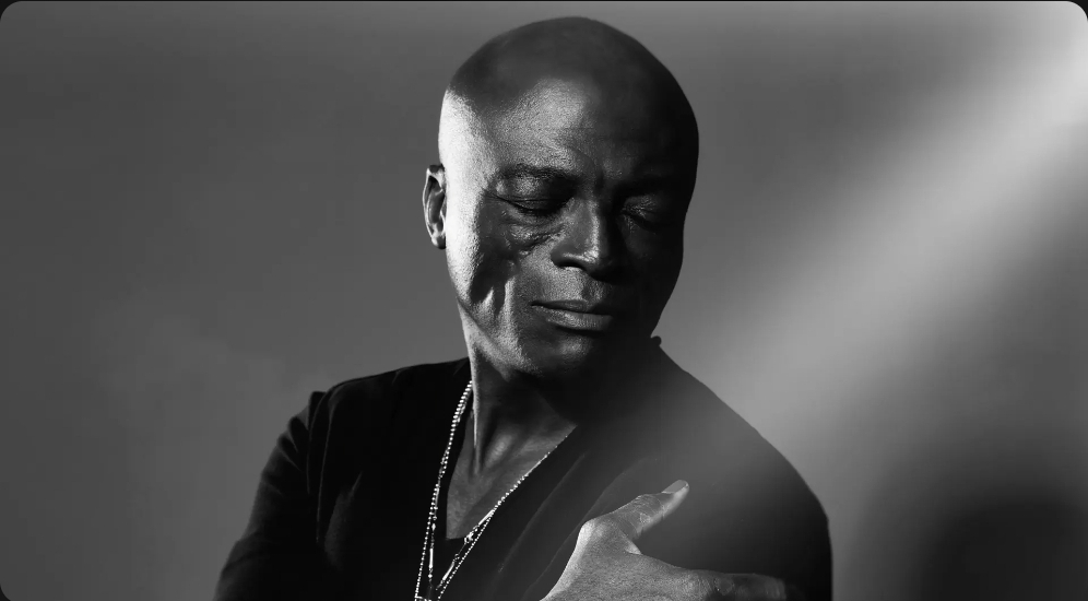 Seal concert